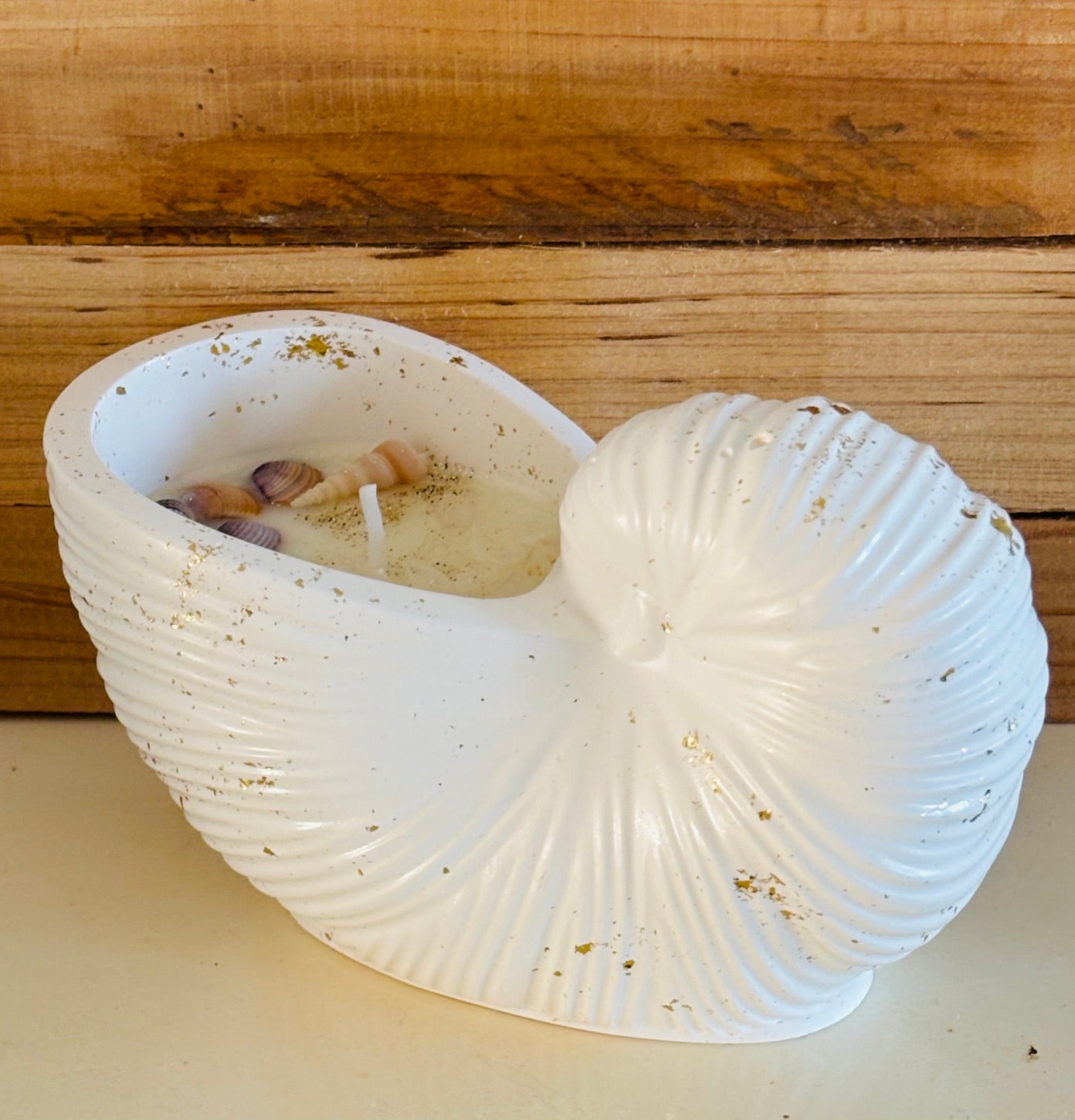 Summer Shell!