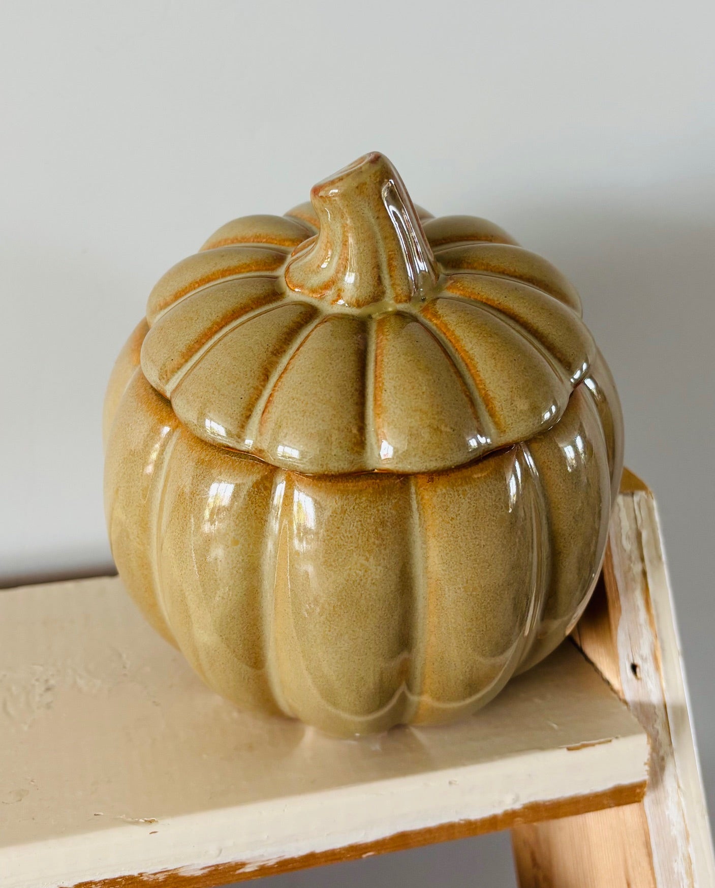 Pompoen pot