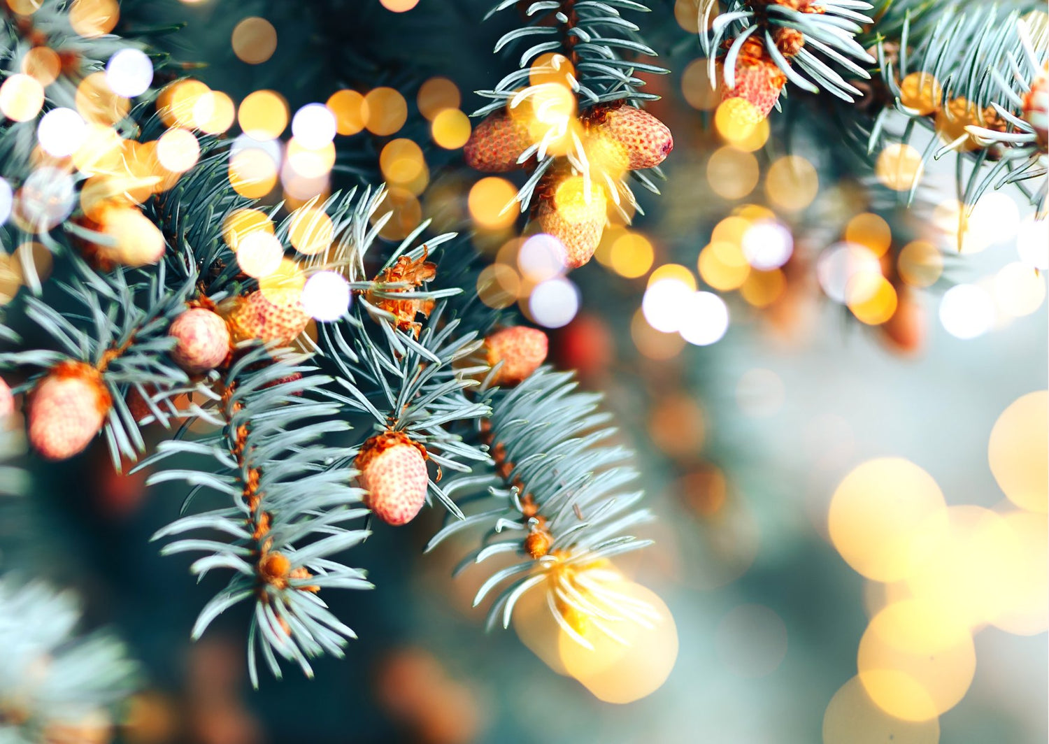 Kerst