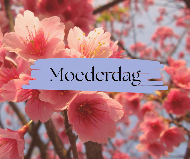 Moederdag
