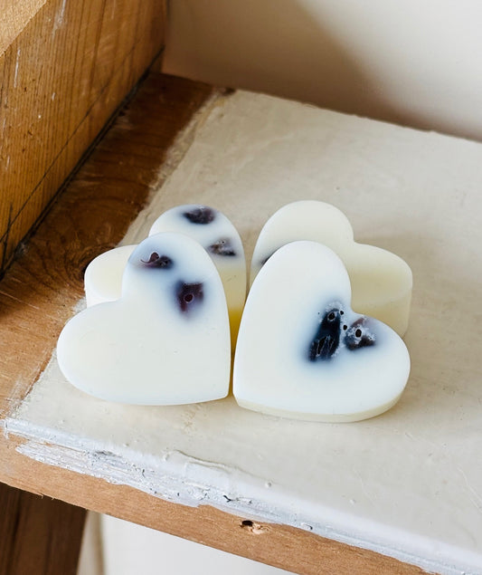 Zen & Silence Meditatie Waxmelts
