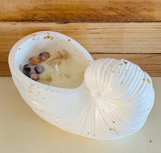Summer Shell!