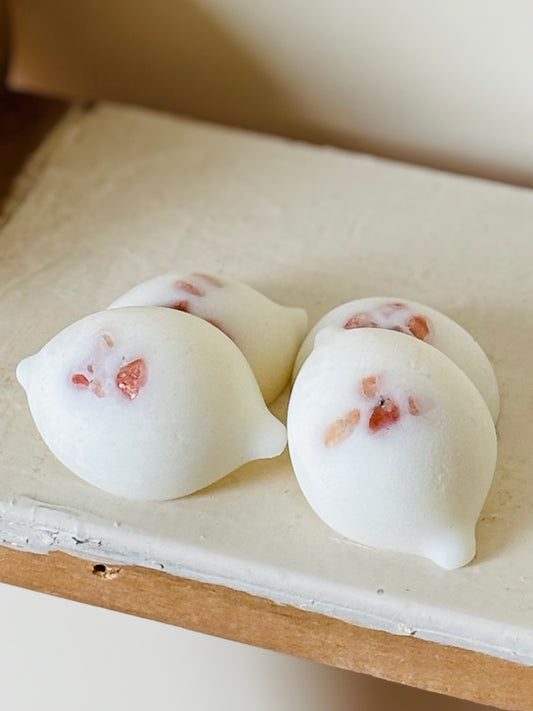 Waxmelts Outdoor (anti insecten)