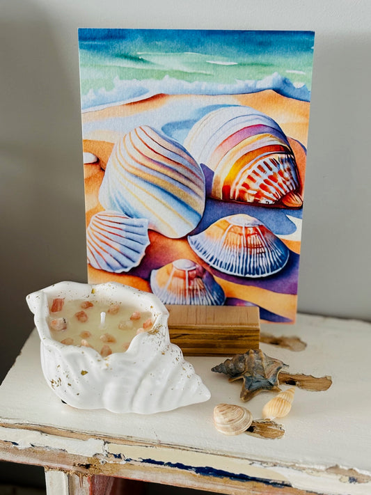 Summer Shell!