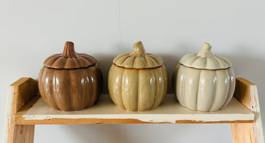 Pompoen pot