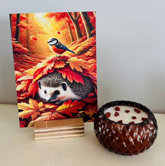 Herfstset Egel